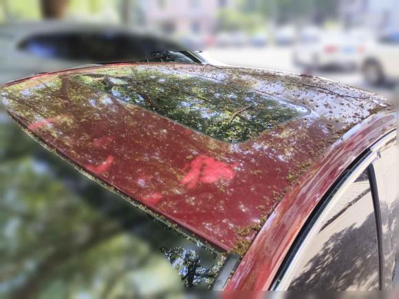 [合肥·皖A] 二手别克威朗2016款 两厢GS 20T 双离合纵情运动型