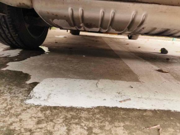 [上海·皖K] 二手红旗红旗H52020款 1.8T 自动智联旗韵版