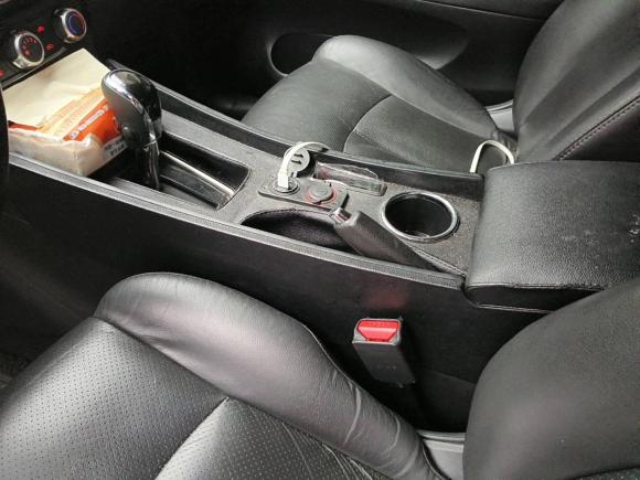 [深圳·湘N] 二手日产轩逸2016款 1.6XL  CVT尊享版