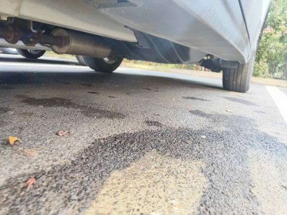 [青岛·鲁B] 二手哈弗哈弗H62017款 红标 运动版 1.5T 手动两驱精英型