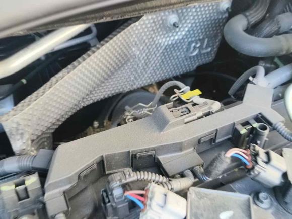 [常州·苏D] 二手丰田卡罗拉锐放2023款 2.0L 精英版