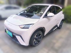 [合肥·皖A] 比亚迪海鸥2023款 飞翔版