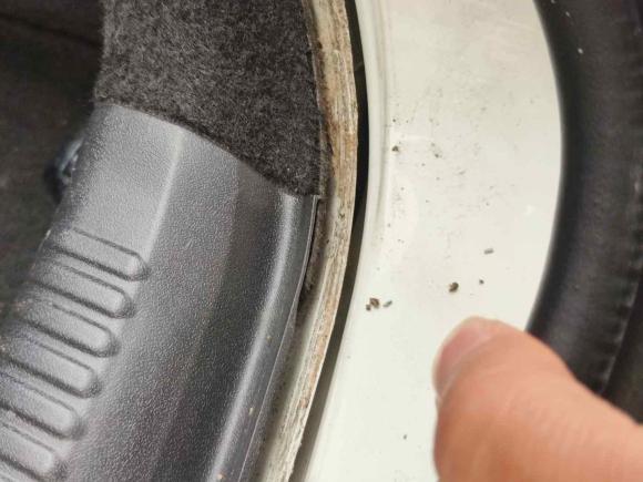 [杭州·浙A] 二手奥迪奥迪S52010款 S5 4.2 Coupe