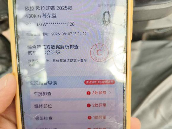 [济南·鲁A] 二手欧拉欧拉好猫2025款 430km 尊荣型