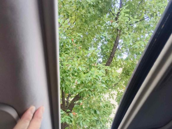 [合肥·皖A] 二手标致标致3082012款 1.6L 自动风尚型