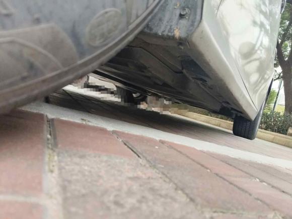 [南通·苏F] 二手丰田凯美瑞2019款 2.0G 豪华版 国V