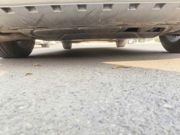 [成都·川A] 二手大众宝来2020款 1.5L 自动舒适型