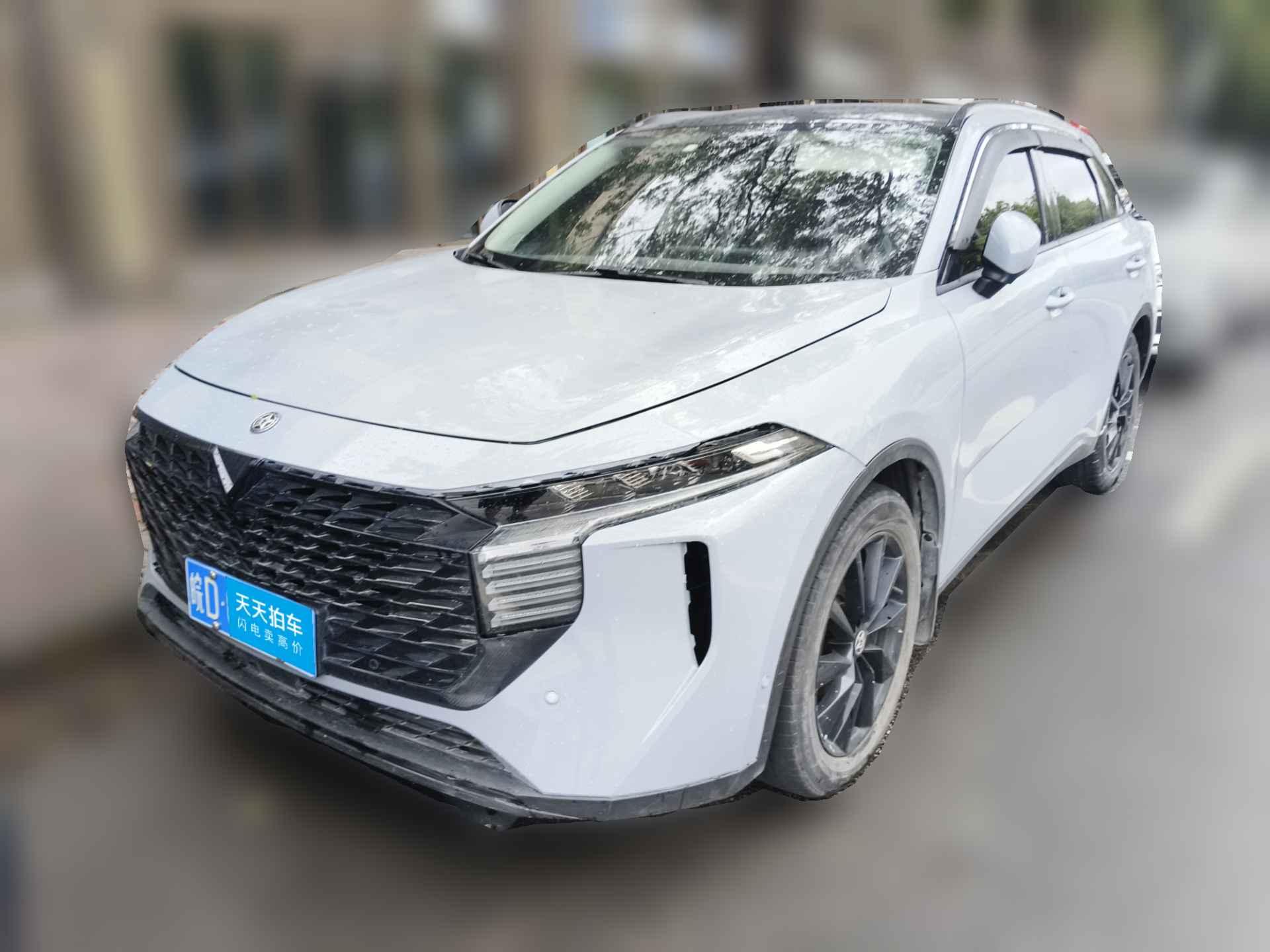 [上海·皖D] 启辰启辰大V2021款 260T 天王版