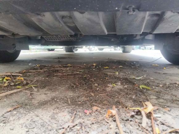 [合肥·皖A] 二手福特福克斯2015款 三厢 EcoBoost 180 自动旗舰型