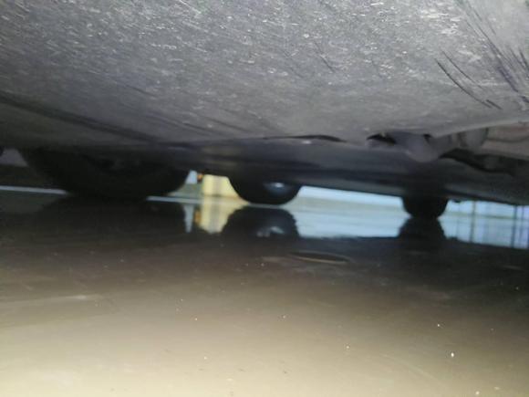 [杭州·浙A] 二手特斯拉Model 32022款 后轮驱动版