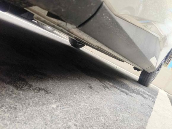 [合肥·皖A] 二手比亚迪海鸥2025款 305km 活力版