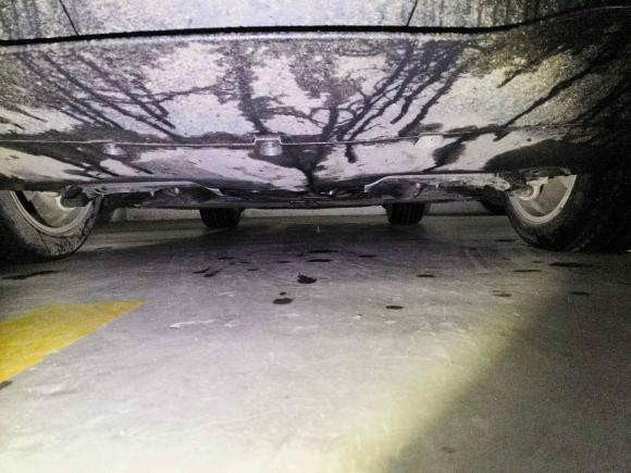 [上海·沪A] 二手特斯拉Model Y2021款 长续航全轮驱动版