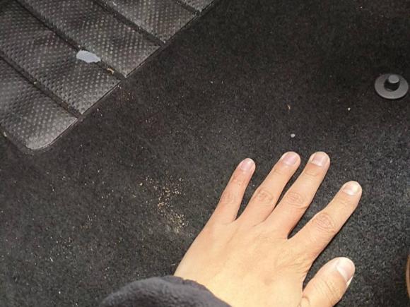 [嘉兴·浙F] 二手斯柯达昕动2019款 改款 1.5L 自动舒适版 国VI