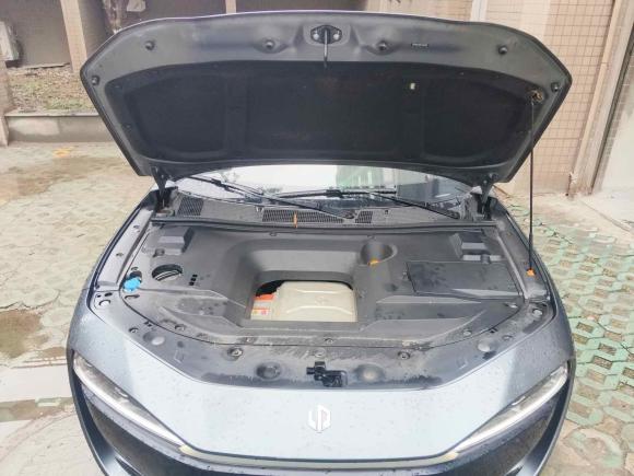 [杭州·浙A] 二手零跑汽车零跑S012019款 460 标准版