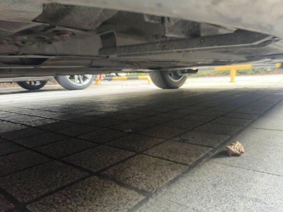 [嘉兴·沪F] 二手标致标致40082019款 350THP 尝先版