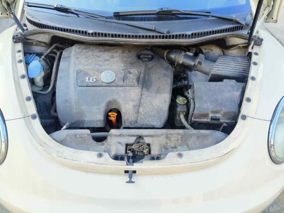 [无锡·苏B] 二手大众甲壳虫2010款 1.6 AT