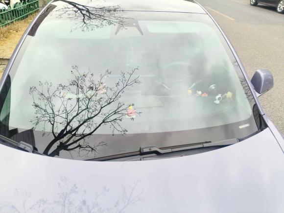 [上海·沪A] 二手特斯拉Model 32020款 改款 标准续航后驱升级版