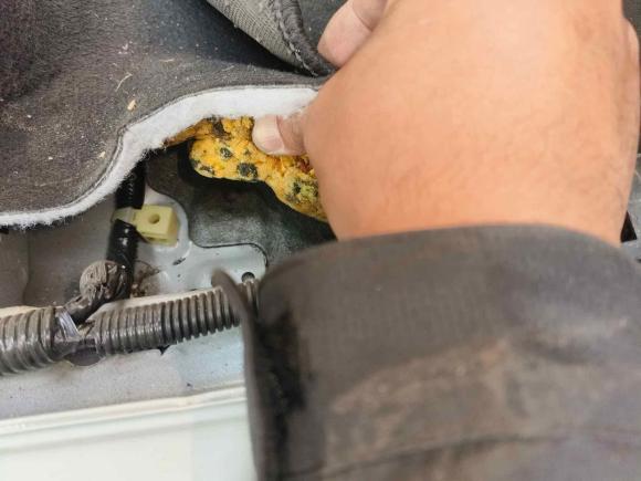 [宁波·浙B] 二手本田哥瑞2016款 1.5L CVT经典版