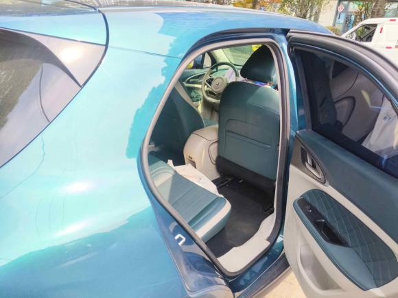 [上海·沪A] 二手欧拉欧拉好猫2023款 401km标准续航 豪华型 磷酸铁锂