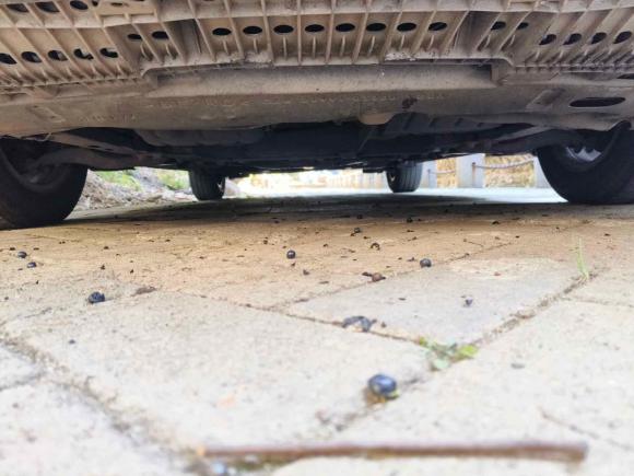 [南昌·赣A] 二手丰田卡罗拉2007款 1.6L 自动GL