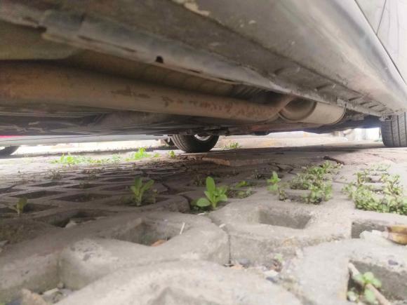 [合肥·皖A] 二手本田飞度2008款 1.5L 自动豪华版