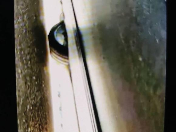 [杭州·浙A] 二手特斯拉Model Y2024款 长续航全轮驱动版