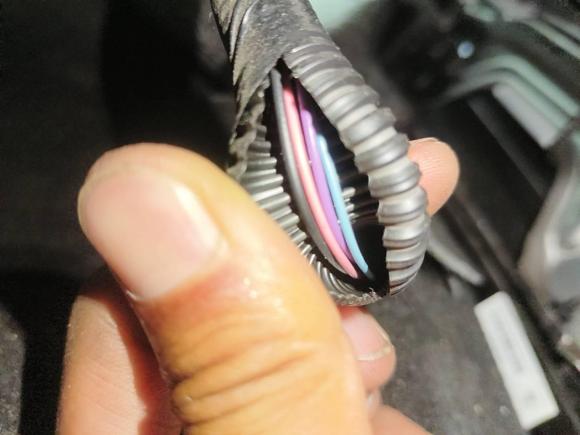 [西安·陕A] 二手日产奇骏2019款 2.0L CVT舒适版 2WD