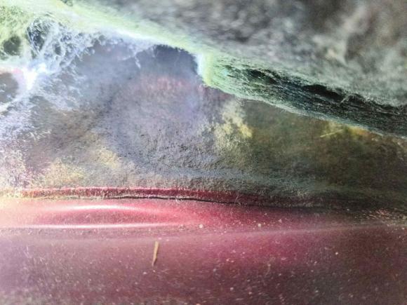 [深圳·粤B] 二手本田凌派2013款 1.8L 自动豪华版