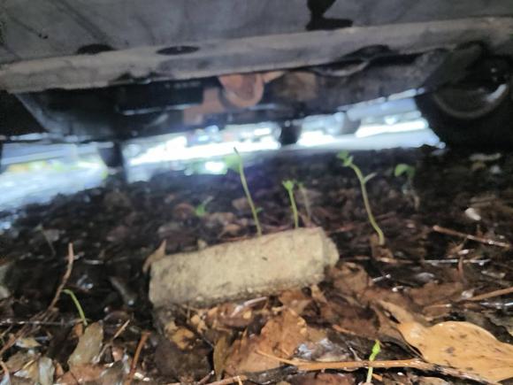 [南昌·赣F] 二手别克昂科威Plus2016款 20T 两驱精英型