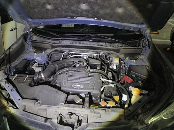 [佛山·粤A] 二手斯巴鲁森林人2019款 2.0i 豪华版