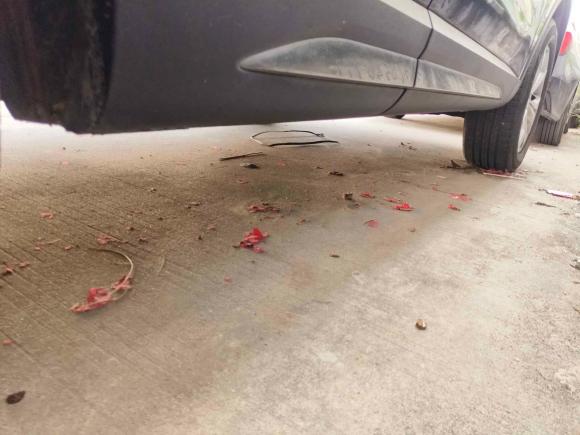 [广州·桂C] 二手哈弗哈弗H62021款 国潮版 1.5GDIT 自动冠军版