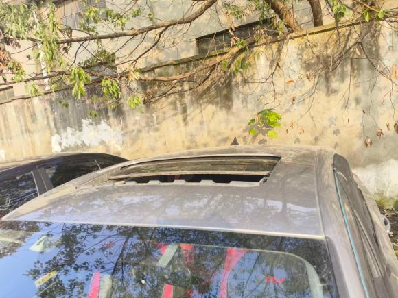 [苏州·苏E] 二手长安逸动2020款 PLUS 百万版 1.6L GDI CVT豪华型