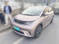 [苏州·苏E] 比亚迪海豚2021款 405km 时尚版