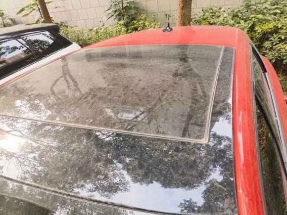 [上海·沪M] 二手奥迪奥迪Q2L2020款 35 TFSI 进取动感型