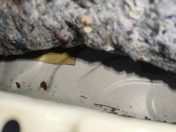 [武汉·鄂A] 二手奥迪奥迪A32014款 Sportback 35 TFSI 自动舒适型