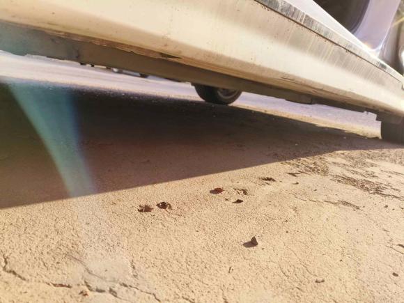 [青岛·鲁B] 二手起亚起亚K52014款 2.0L 自动LUXURY