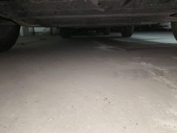 [济南·鲁A] 二手奔腾奔腾X402018款 网红版 1.6L 手动豪华型