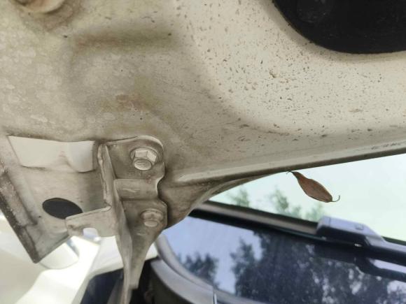 [温州·浙C] 二手比亚迪元新能源2019款 EV535 智联领潮型