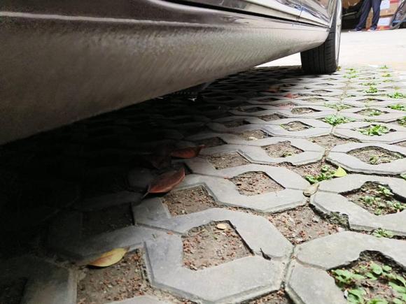 [上海·鄂F] 二手大众途安2013款 1.4T DSG睿智版5座