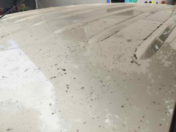 [温州·浙C] 二手五菱汽车五菱宏光V2019款 1.5L劲取版国VI LAR