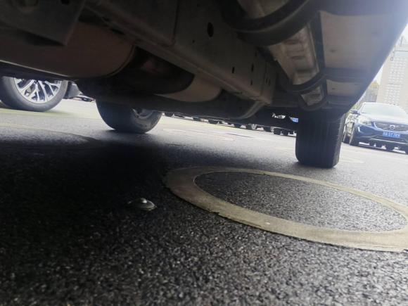 [成都·川A] 二手坦克坦克3002021款 越野版 2.0T 征服者