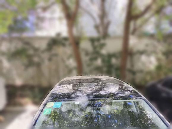 [上海·沪A] 二手大众高尔夫2016款 1.6L 自动舒适型