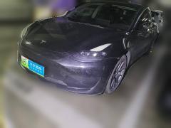 [深圳·粤B] 特斯拉Model 32021款 标准续航后驱升级版 3D6