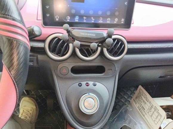 [武汉·鄂A] 二手欧拉欧拉黑猫2019款 351km 灵智版