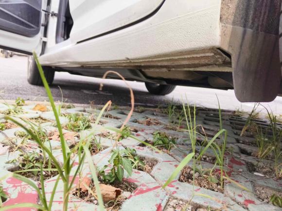 [上海·鄂F] 二手大众朗逸2023款 280TSI DSG星空满逸版