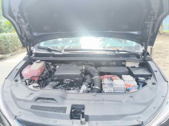 [上海·沪A] 二手比亚迪宋MAX新能源2019款 DM 1.5T 智联致进型 7座 国VI