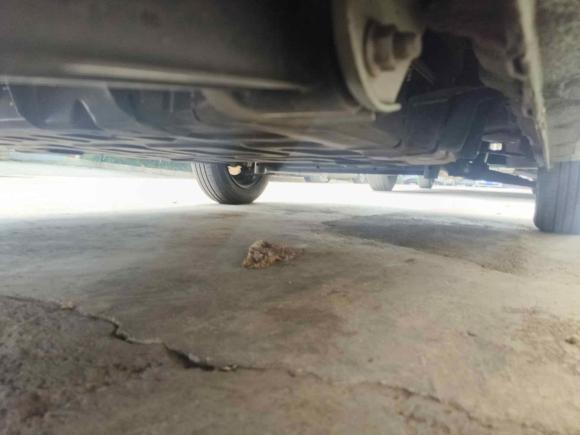 [义乌·浙G] 二手奔腾奔腾小马2024款 170km 活力马