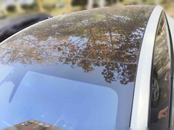 [合肥·皖A] 二手特斯拉Model Y2024款 后轮驱动版