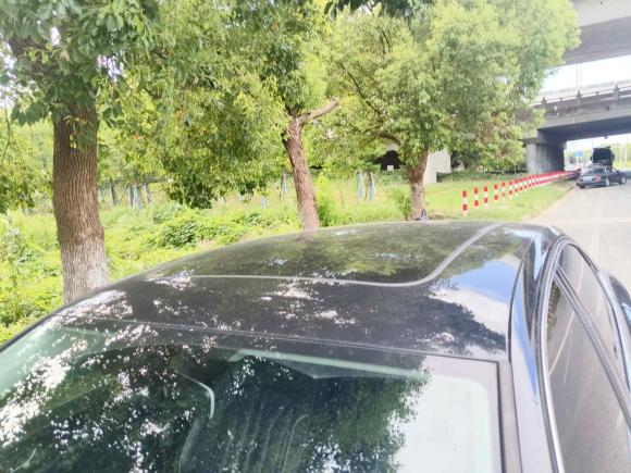 [苏州·苏E] 二手大众帕萨特2022款 330TSI 星空精英版