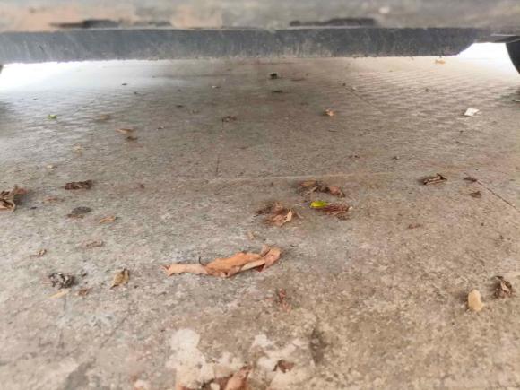 [杭州·浙J] 二手斯柯达明锐2017款 1.6L 自动智行版